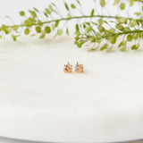 Champagne Crystal Stud Earrings