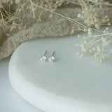 Crystal Stud Earrings